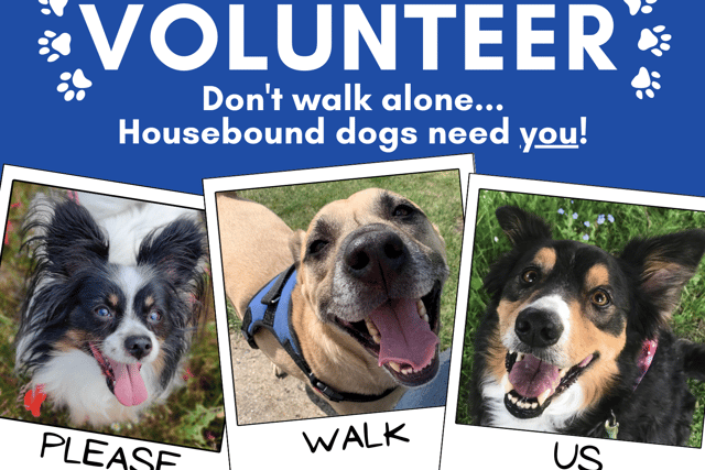 Volunteer dog walkers are needed in the Rushden area