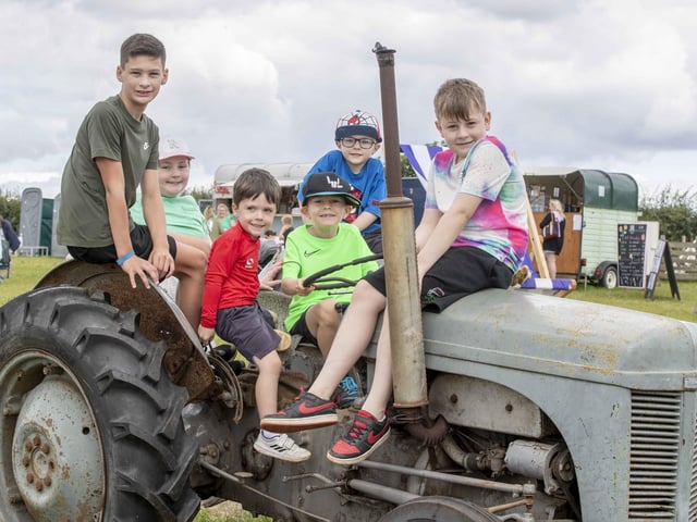 The sunflower field and maize maze is now open for family days out during the summer holidays.