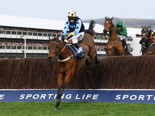 An indication of the decline of UK jumps racing is that illustrious trainer Alan King saddles only TWO runners at this week's festival. But one of them, EDWARDSTONE, is a strong fancy for one of the top Grade One prizes, the Betway Queen Mother Champion Chase on Wednesday (3.30). The 9yo, a winner here last year, boasts a lethal turn of foot and tuned up nicely last time when beating the reigning champion, Energumene.