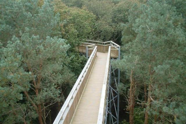The Tree Top Walkway at Salcey Forest will not reopen. It will be demolished.