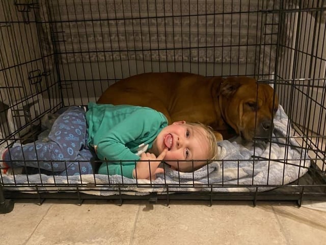 "Just a boy with his dog"