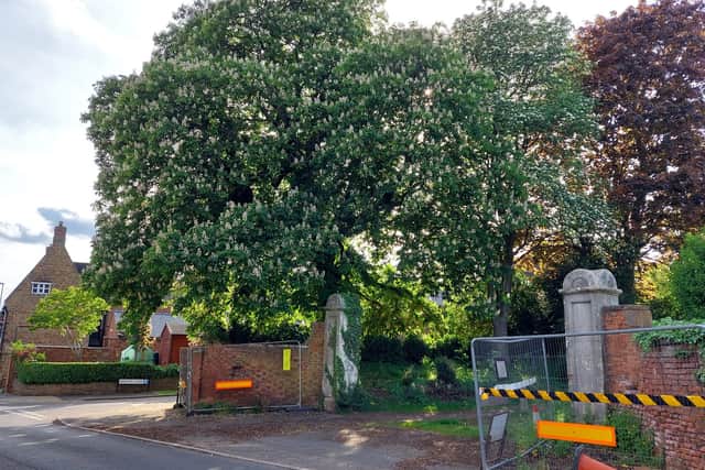 The horse chestnut tree that overhangs onto Earls Barton's high Street is to be felled
