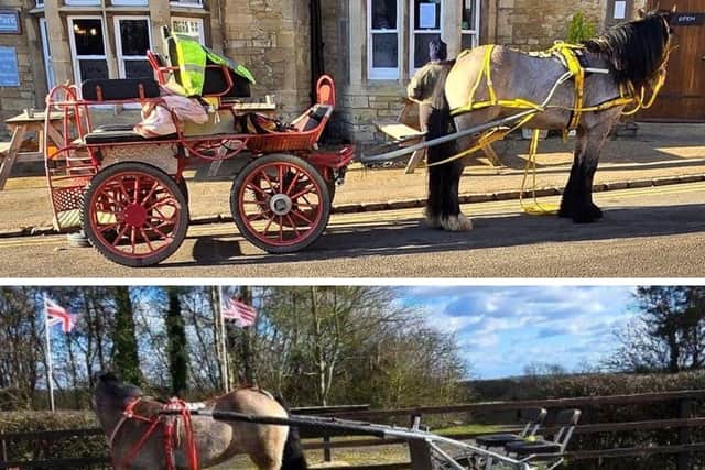 The two distinctive horse-drawn carts (Credit: Northants Police)