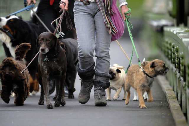 The number of dog bites treated in hospitals in Northamptonshire last year increased by 10 from the year before.