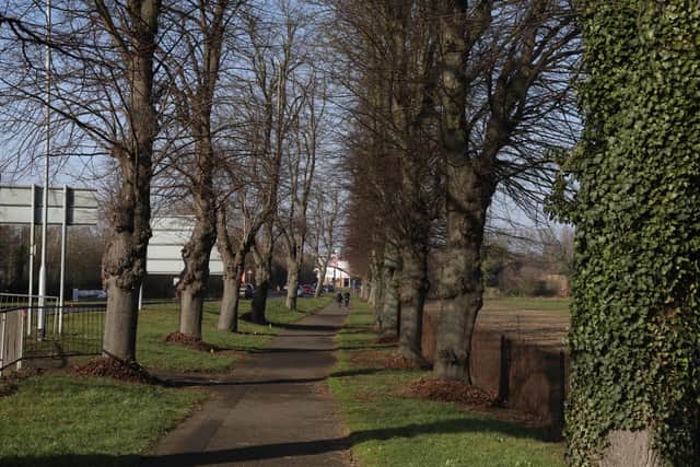 The Wellingborough Walks stretch from the town centre to the River Nene