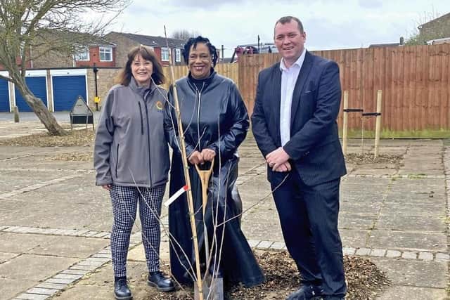 The cherry trees being planted in Wellingborough