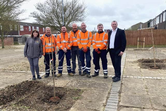 The cherry trees being planted in Wellingborough