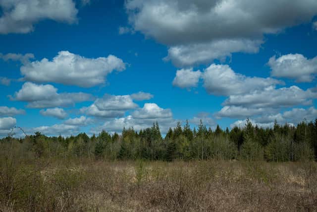 A decision on the land's fate is expected next month. Credit: Simon Eppey
