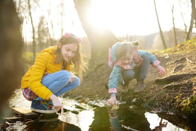 Children immersed in nature