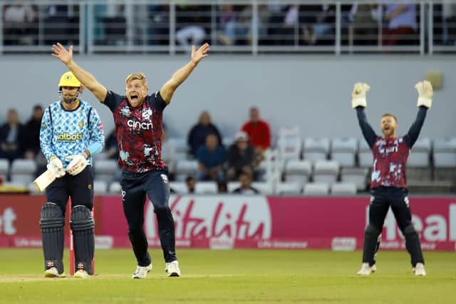 David Willey and Lewis McManus appeal for a wicket in the win over the Bears (Picture: Peter Short)