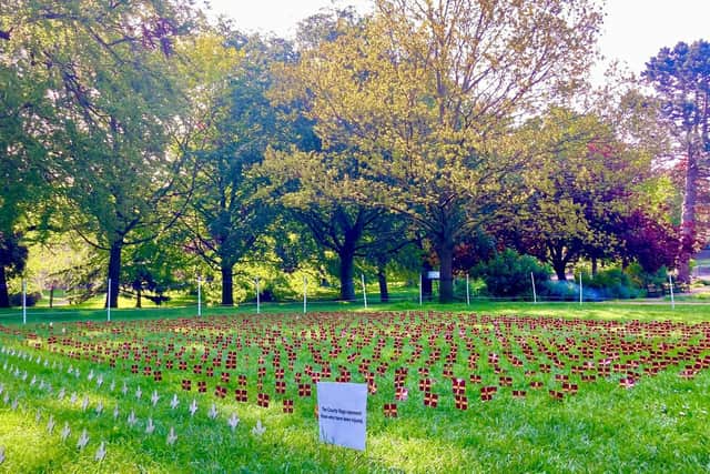 The display will be in Abington Park until the end of this week, Global Road Safety Week, after it was organised by the family of a woman who died on the county's roads.