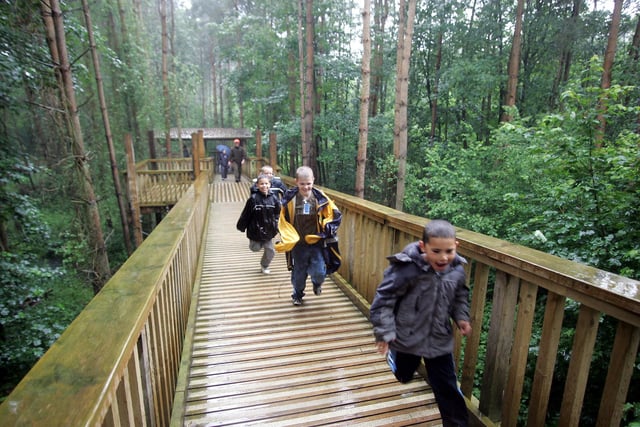 Salcey Forest Tree Top Walkway in 2007