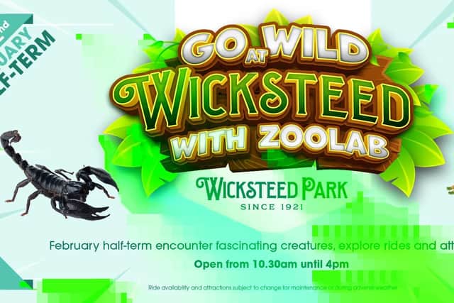 Wicksteed Park