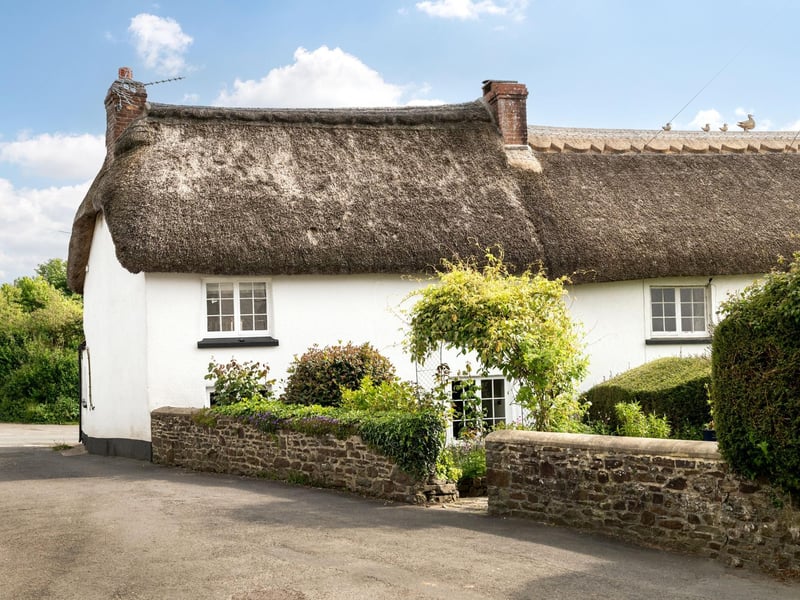 Romantic Rose Cottage in Devon