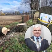 Mayor of Wellingborough Cllr Jonathan Ekins and the trees that have already been felled