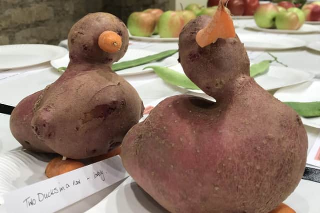 The two Ducks in a Row entry got audiences chuckling
