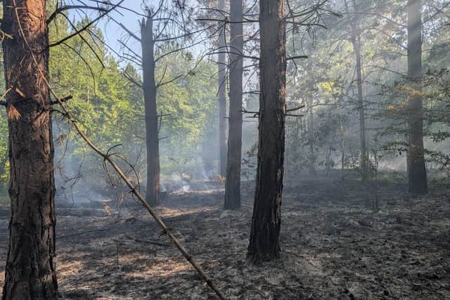 The wild fire in Kettering woodland was attended by seven crews