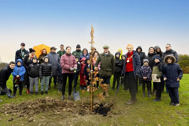 The tree planting in Corby