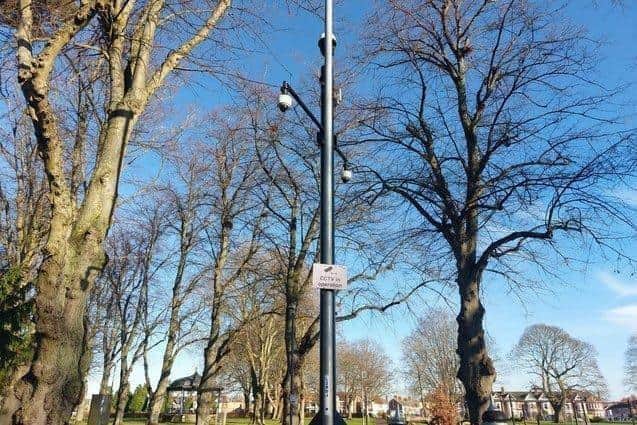 Cameras in the Pleasure Park.