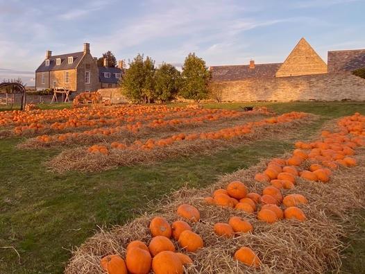 You are invited to the Chester Haunted House Estate from Saturday October 22 to Sunday October 30 to visit their giant pumpkin patch, their haunted walkthrough, pumpkin trail and drop-in craft workshops to learn about historical Halloween and Samhain traditions. Halloween activity passports cost £2 per child and adults not participating in activities go free. The site will be open from 10am to 4pm and the Chester House cafe, shops, history museum and outdoor play area will all be open.