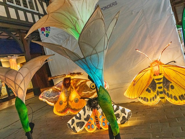 Glowing moths and moonflowers painted by puppetry artists Eye Of Newt