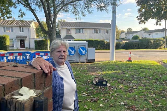 Catherine Thompson, 76, with the new 5g mast outside her house in Welland Vale Road.