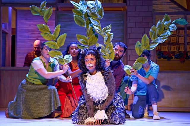 Photo from Mog The Forgetful Cat - showing previous cast. Photo by Manuel Harlan