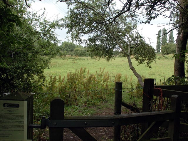 Land off Stanion Lane, July 2011