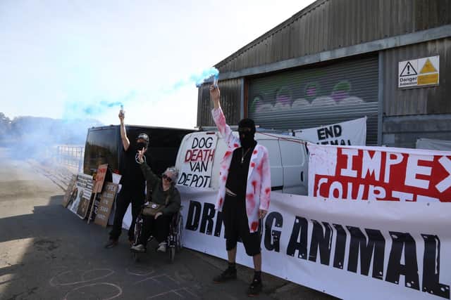 Animal rights protesters in Cranford Duck End /National World