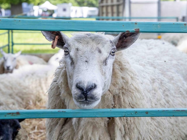 The event at Lamport Hall on May 28 and 29 was full of sunshine, smiles and something for the whole family.