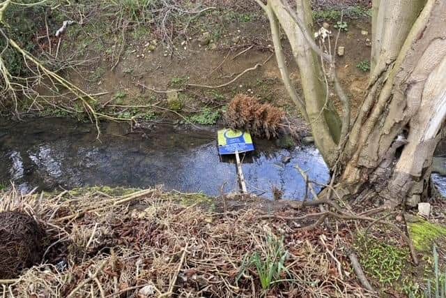 The brook behind Stephenson Way