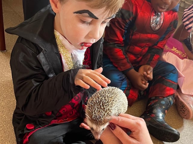 Halloween animal handling workshop at Rushden Hall a 'wonderful showcase of community spirit'