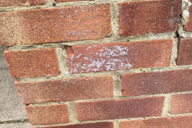 The marking on the garden wall
