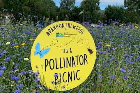 The recent work follows on from the ‘Pardon the weeds’ campaign which has run in Kettering and Corby for years
