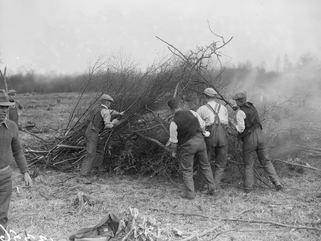April 1929: Burning brushwood at a Ministry of Labour training camp, Kettering. (Photo by Fox Photos/Getty Images)