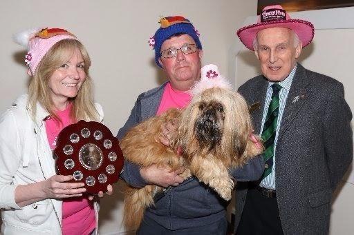 Crazy Awards: Kettering: Crazy Hats Walk Awards 2017   Dougal the dog