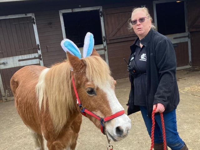 Visitors were able to meet some of the animals who live at Pine Tree Farm in Little Irchester