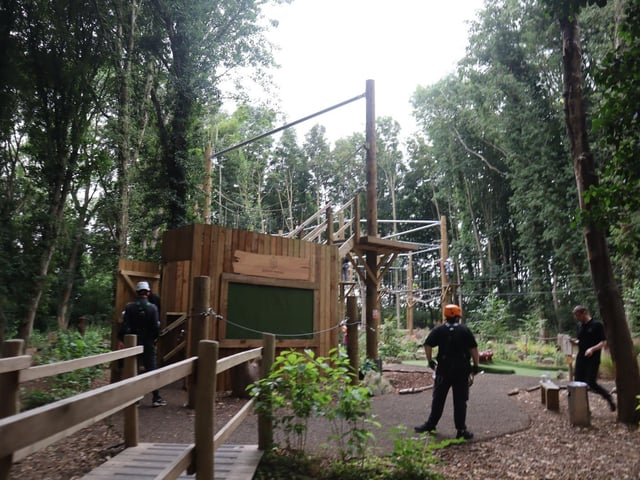 Iron Pit Woods summer fun day