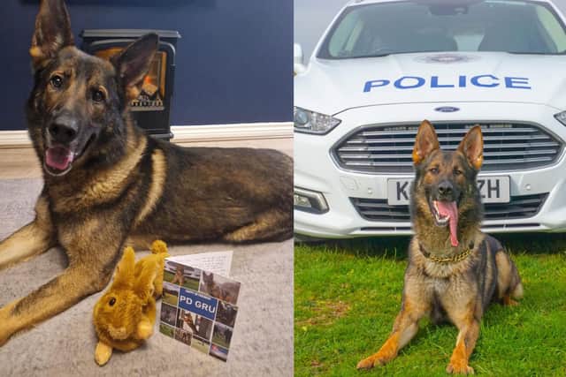 PD Gru is retiring after three years of service.