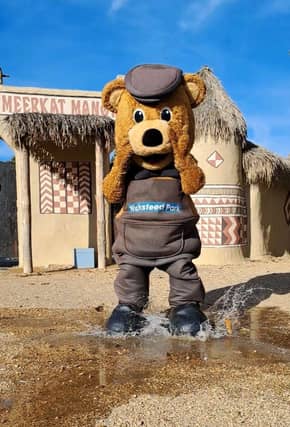 Wicky Bear