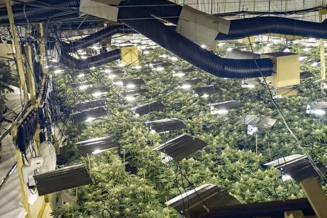2,000 cannabis plants were found inside in a raid in 2019. Credit: David Jackson