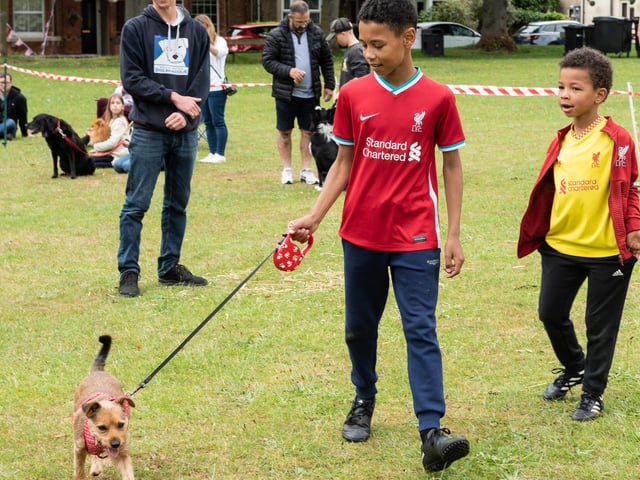 Dog owners turned up on Sunday (June 19) to Animals in Need Northamptonshire's Earls Barton Dog Show