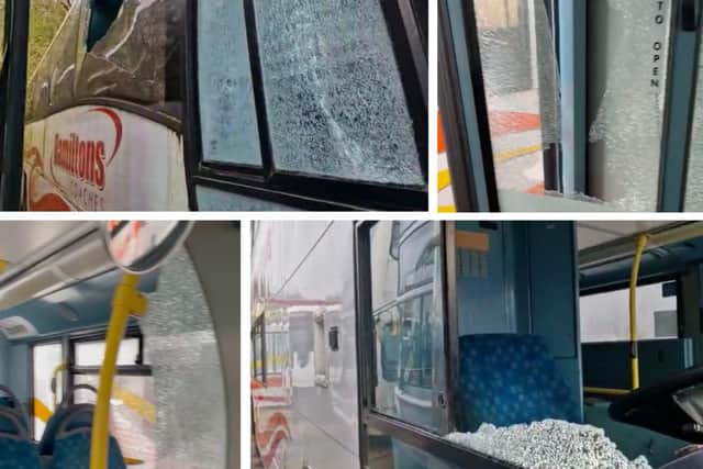 Vandals smashed 124 windows