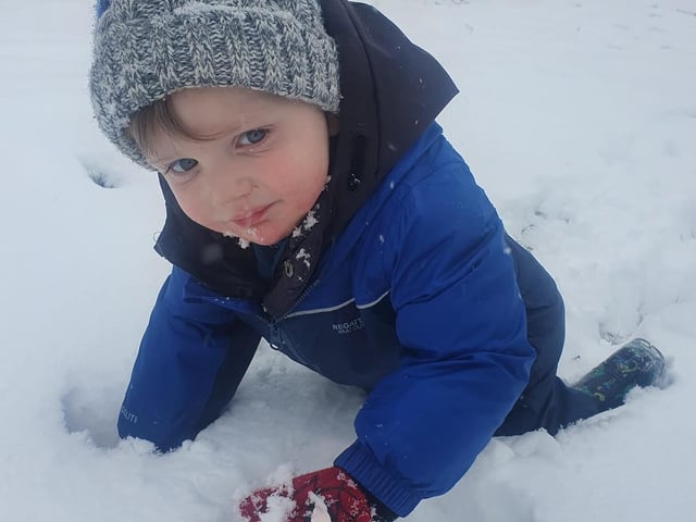 Kelly Meney sent this image from Tommy's first snow day - he wants to explore!