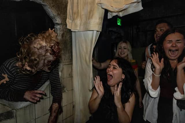 The Last Of Us (and you) in this experience (photo: Mariah Wild)