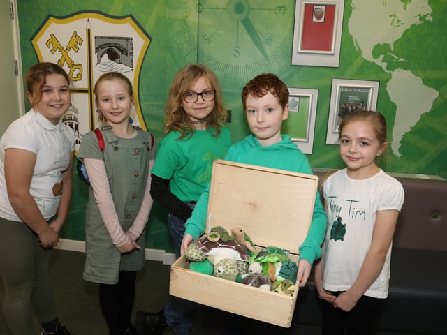 Turtle power - Year 5s