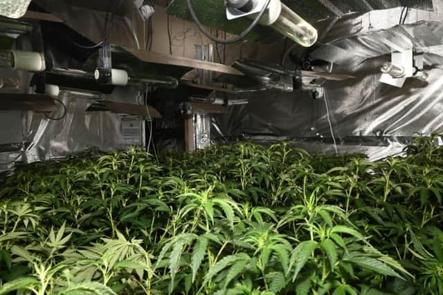 Cannabis grow house in Thrift Street Irchester/ Northants Police