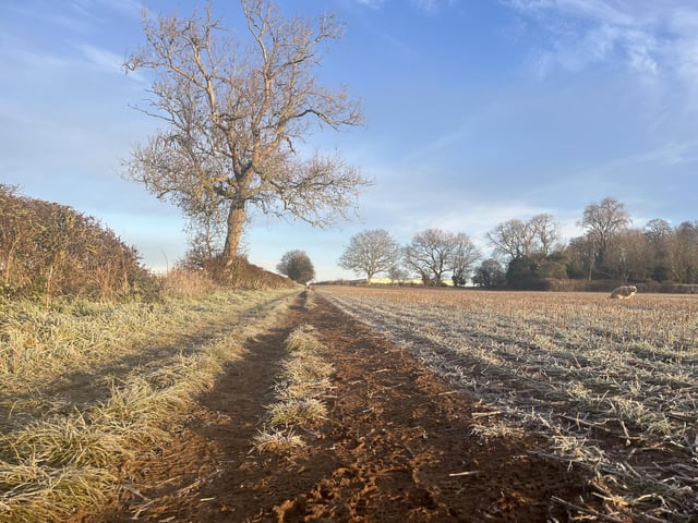Taken in Burton Latimer by Jeanette Hancock
