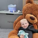 Serve appeal for cuddly toys and teddy bears