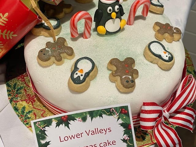 Brampton View Memory Lane Lower Valleys Penguin Cake